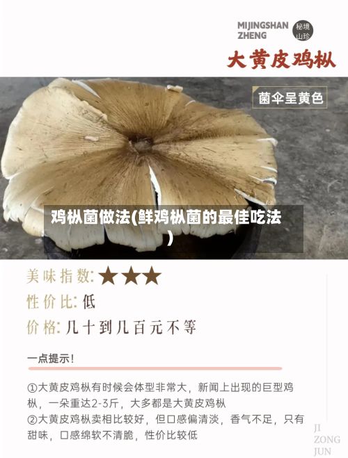 鸡枞菌做法(鲜鸡枞菌的最佳吃法)-第2张图片