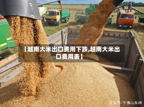 【越南大米出口费用下跌,越南大米出口费用表】-第2张图片