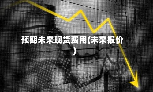 预期未来现货费用(未来报价)