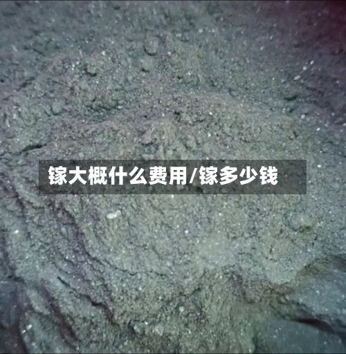 镓大概什么费用/镓多少钱