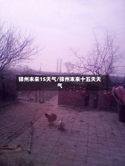 锦州未来15天气/锦州末来十五天天气