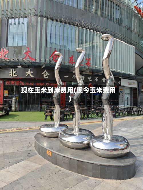 现在玉米到岸费用(现今玉米费用)-第3张图片