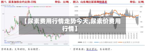 【尿素费用行情走势今天,尿素价费用行情】