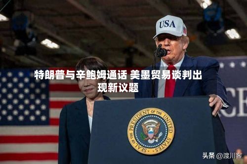 特朗普与辛鲍姆通话 美墨贸易谈判出现新议题-第3张图片