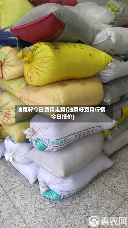 油菜籽今日费用走势(油菜籽费用行情今日报价)