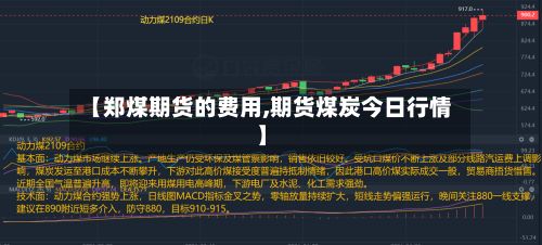 【郑煤期货的费用,期货煤炭今日行情】