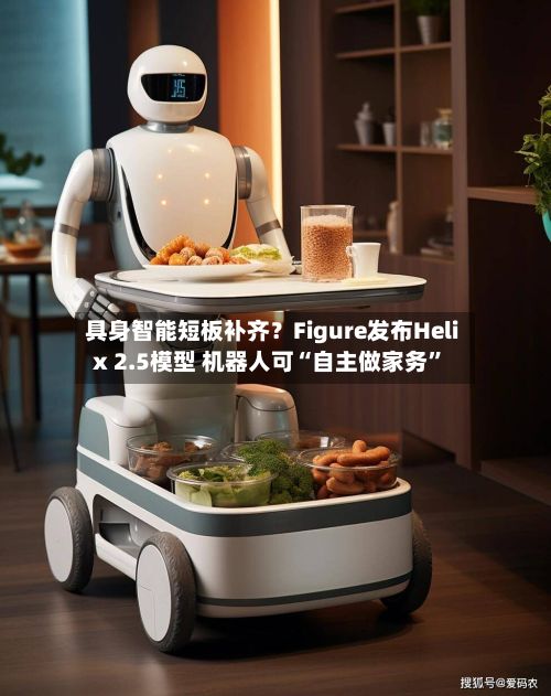 具身智能短板补齐？Figure发布Helix 2.5模型 机器人可“自主做家务”-第2张图片