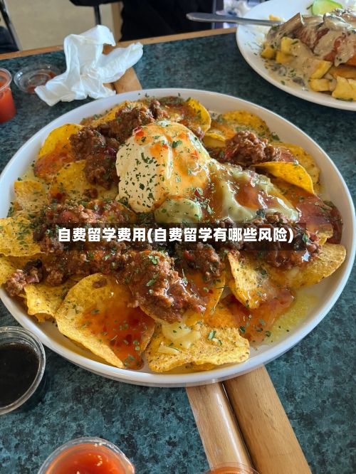 自费留学费用(自费留学有哪些风险)-第2张图片
