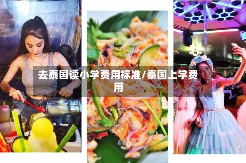去泰国读小学费用标准/泰国上学费用-第2张图片