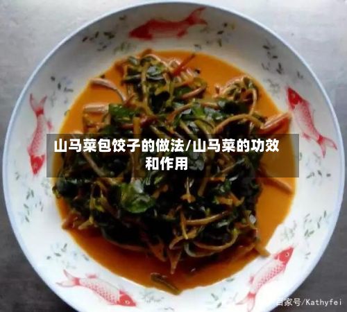 山马菜包饺子的做法/山马菜的功效和作用-第3张图片