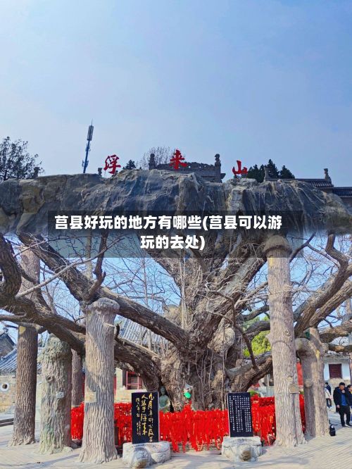 莒县好玩的地方有哪些(莒县可以游玩的去处)