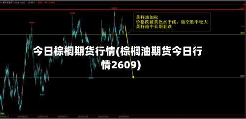今日棕榈期货行情(棕榈油期货今日行情2609)
