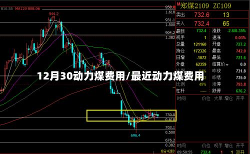 12月30动力煤费用/最近动力煤费用
