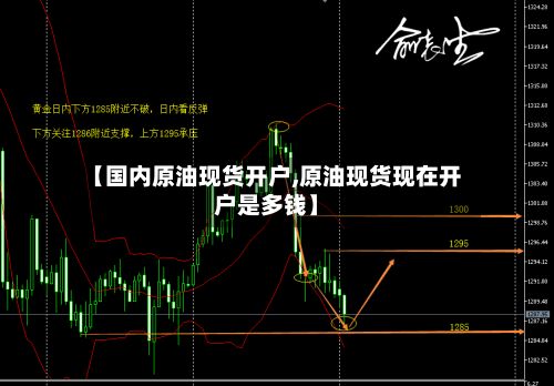 【国内原油现货开户,原油现货现在开户是多钱】-第2张图片