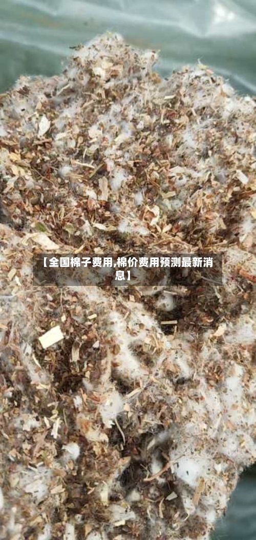 【全国棉子费用,棉价费用预测最新消息】