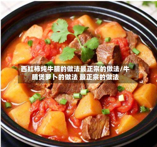 西红柿炖牛腩的做法最正宗的做法/牛腩煲萝卜的做法 最正宗的做法