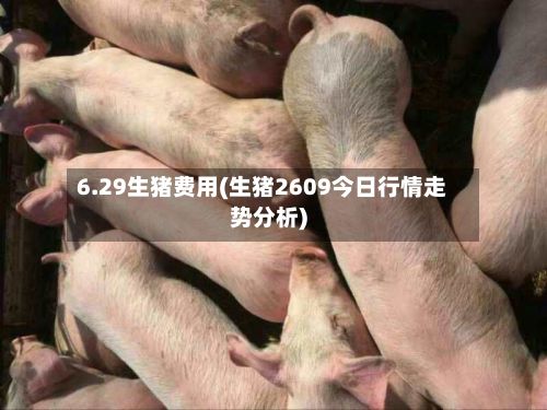 6.29生猪费用(生猪2609今日行情走势分析)-第2张图片