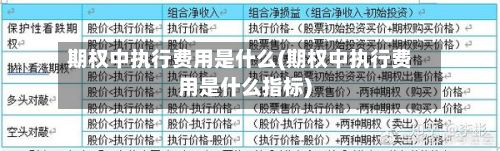 期权中执行费用是什么(期权中执行费用是什么指标)