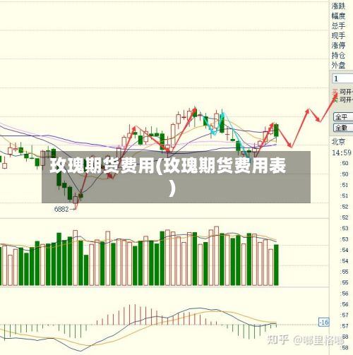 玫瑰期货费用(玫瑰期货费用表)-第3张图片