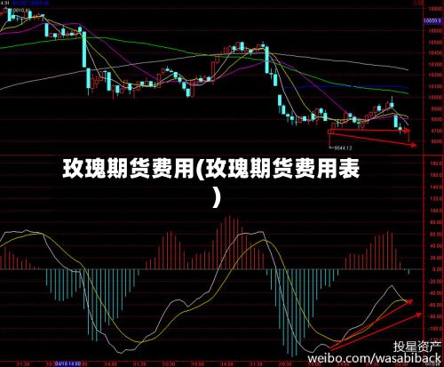 玫瑰期货费用(玫瑰期货费用表)
