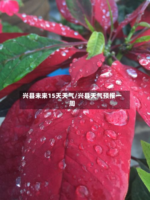 兴县未来15天天气/兴县天气预报一周