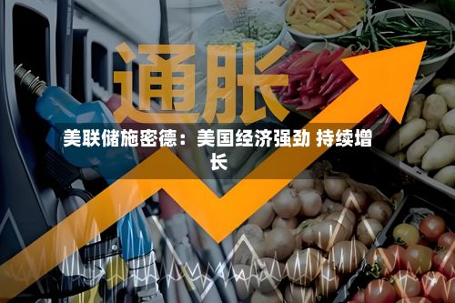 美联储施密德：美国经济强劲 持续增长-第2张图片