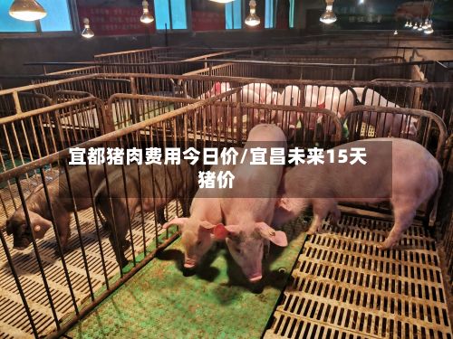宜都猪肉费用今日价/宜昌未来15天猪价