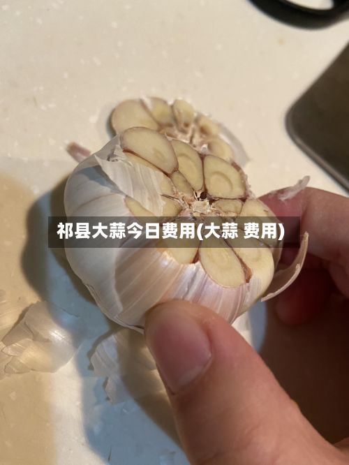 祁县大蒜今日费用(大蒜 费用)