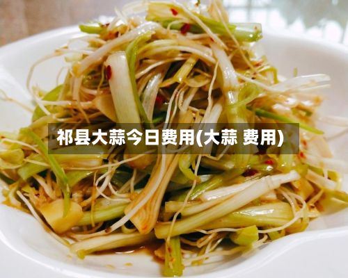 祁县大蒜今日费用(大蒜 费用)-第2张图片
