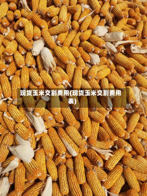 现货玉米交割费用(现货玉米交割费用表)-第3张图片
