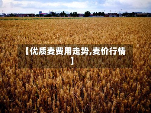 【优质麦费用走势,麦价行情】-第2张图片