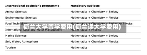 荷兰大学留学费用(荷兰读大学费用)-第3张图片