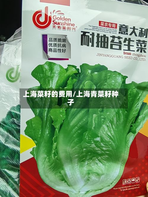 上海菜籽的费用/上海青菜籽种子