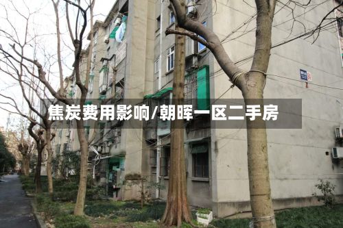 焦炭费用影响/朝晖一区二手房