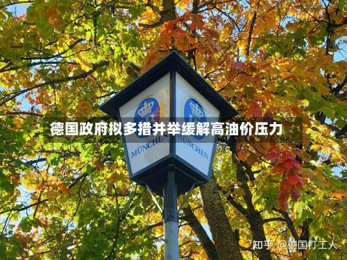 德国政府拟多措并举缓解高油价压力-第2张图片