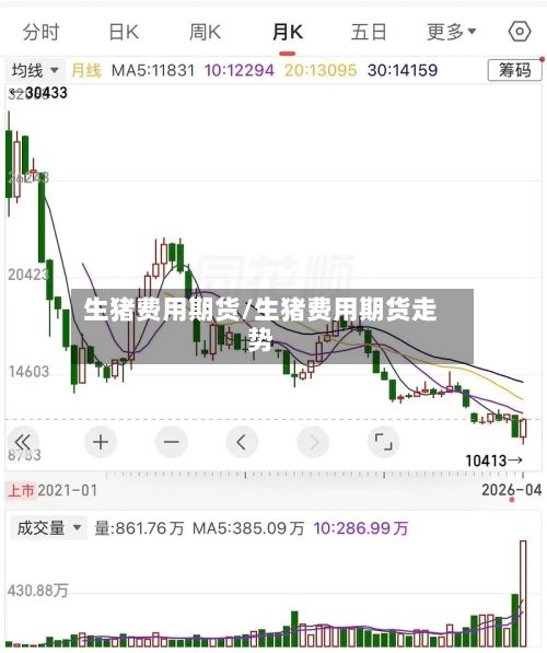 生猪费用期货/生猪费用期货走势
