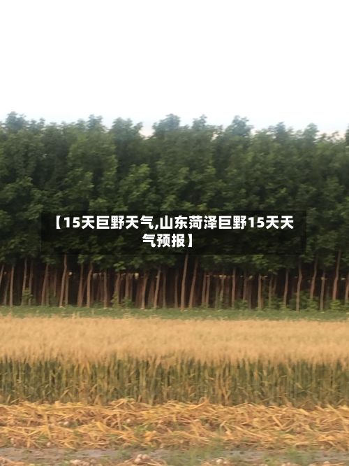 【15天巨野天气,山东菏泽巨野15天天气预报】