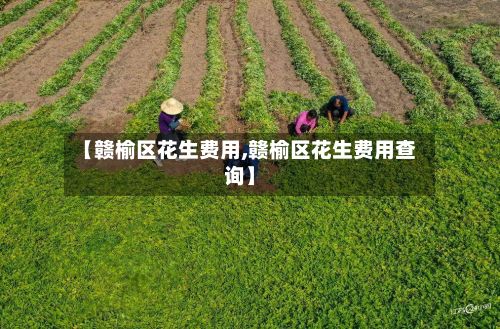 【赣榆区花生费用,赣榆区花生费用查询】