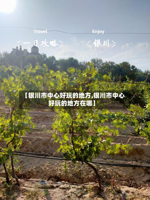 【银川市中心好玩的地方,银川市中心好玩的地方在哪】-第3张图片
