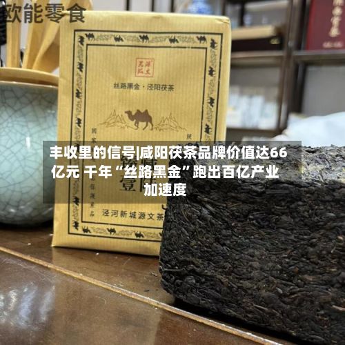 丰收里的信号|咸阳茯茶品牌价值达66亿元 千年“丝路黑金	”跑出百亿产业加速度-第2张图片