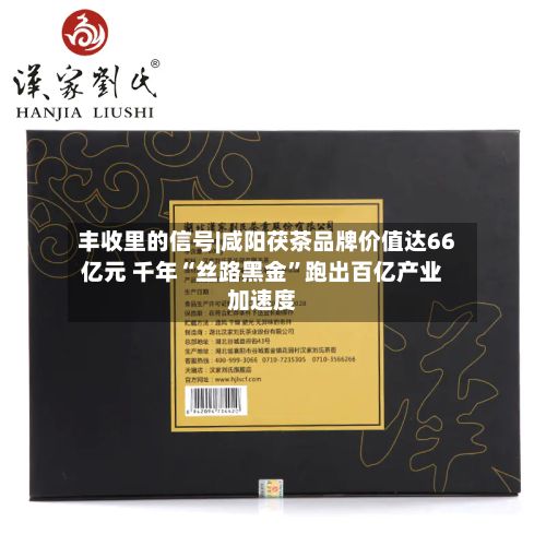 丰收里的信号|咸阳茯茶品牌价值达66亿元 千年“丝路黑金”跑出百亿产业加速度-第3张图片