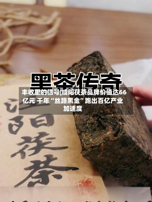 丰收里的信号|咸阳茯茶品牌价值达66亿元 千年“丝路黑金”跑出百亿产业加速度