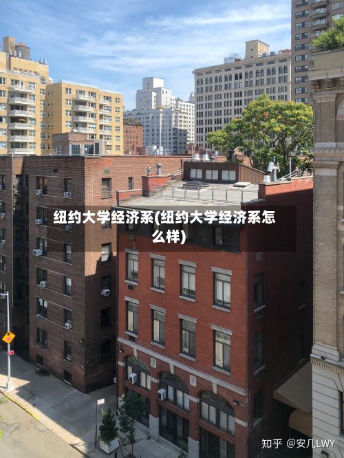 纽约大学经济系(纽约大学经济系怎么样)