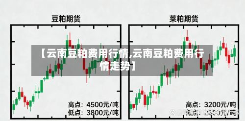 【云南豆粕费用行情,云南豆粕费用行情走势】