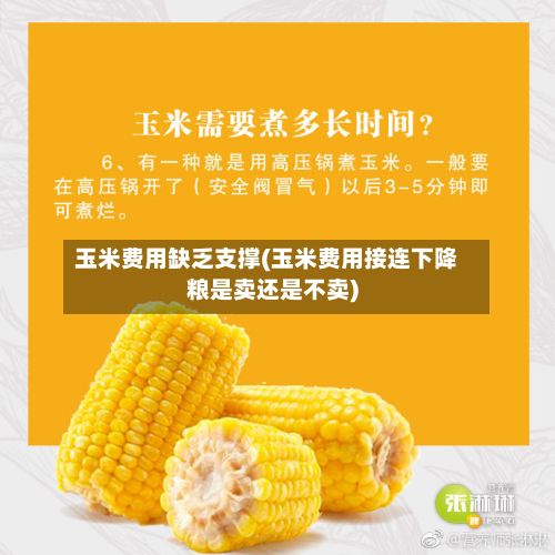 玉米费用缺乏支撑(玉米费用接连下降粮是卖还是不卖)-第2张图片