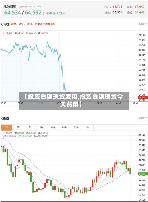 【投资白银现货费用,投资白银现货今天费用】