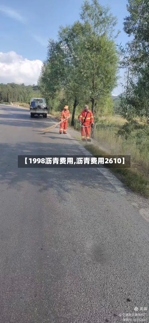 【1998沥青费用,沥青费用2610】-第2张图片