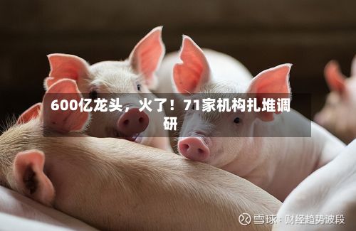 600亿龙头	，火了！71家机构扎堆调研-第2张图片