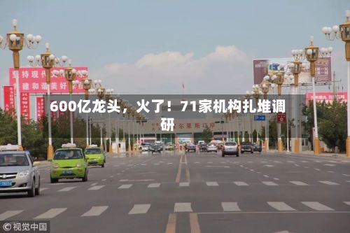 600亿龙头	，火了！71家机构扎堆调研-第1张图片
