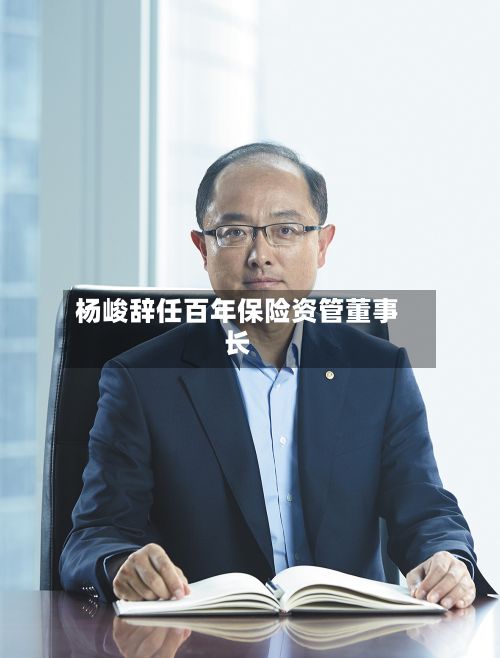 杨峻辞任百年保险资管董事长-第2张图片